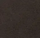Carbon