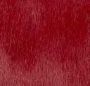 Cardinal