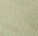 Celery