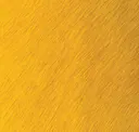 Chick