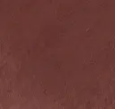 Clay