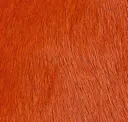 Cone