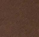 Elm