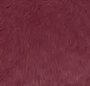 Gloss