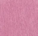 Gum