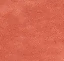 Melon