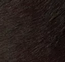 Mink