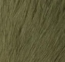Moss