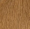 Oak