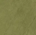 Pea