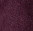 Pinot
