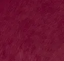 Raspberry