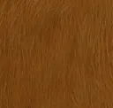 Saddle