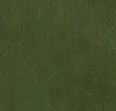 Spruce
