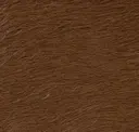 Teak