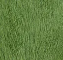 Turf
