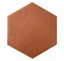 Terrae