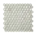F21 Edelweiss