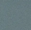 Granulated Ivy Green