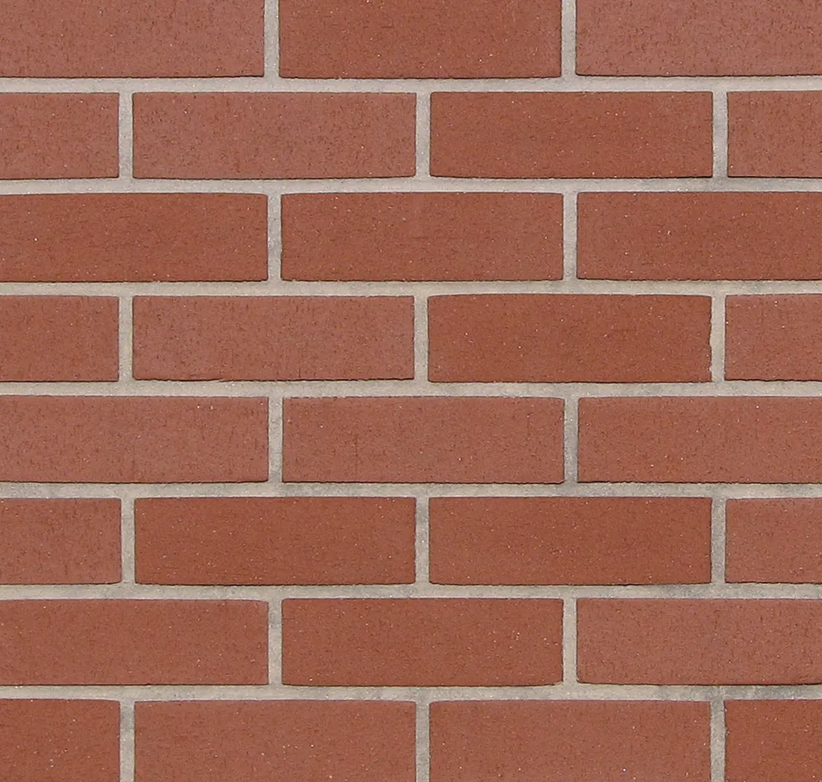 Main