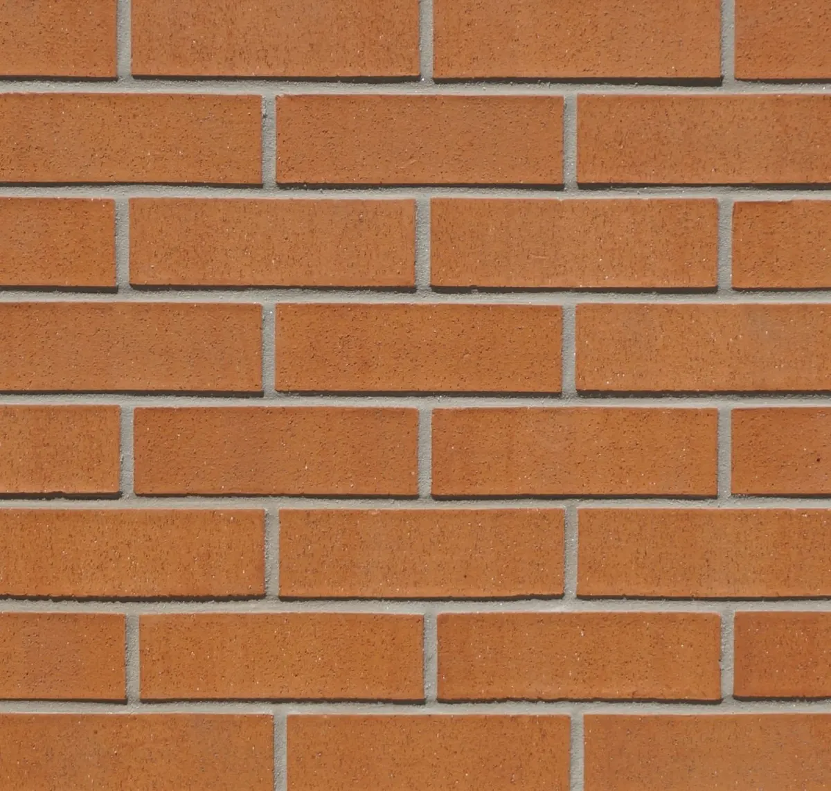 Main