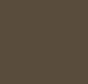 Light Bronze