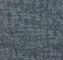 569