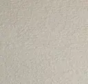 Desert Stone