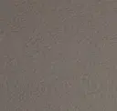 Tundra Gray