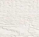 Desert Stone