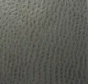 Rhino