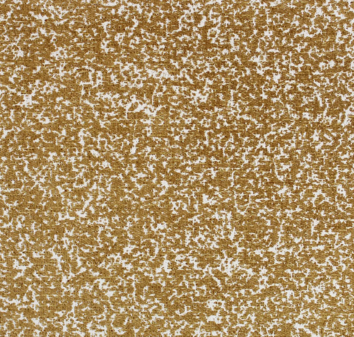 Main