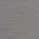 Kitten Gray