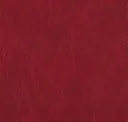 Red Lily