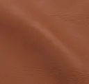Saddle