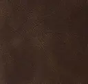 Africa