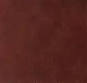 Ibisco