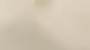 Eggshell