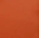 Burnt Orange