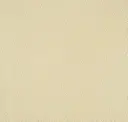 Sahara Sand