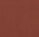 Copper Penny