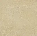 Avorio