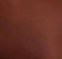 Spice