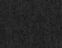 Black Ice