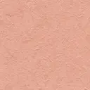 Salsa