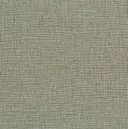 Counting Glass