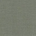 Pewter