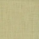 Jute