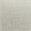 Frost Mylar