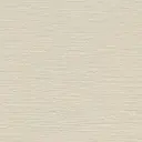 Texture Moon